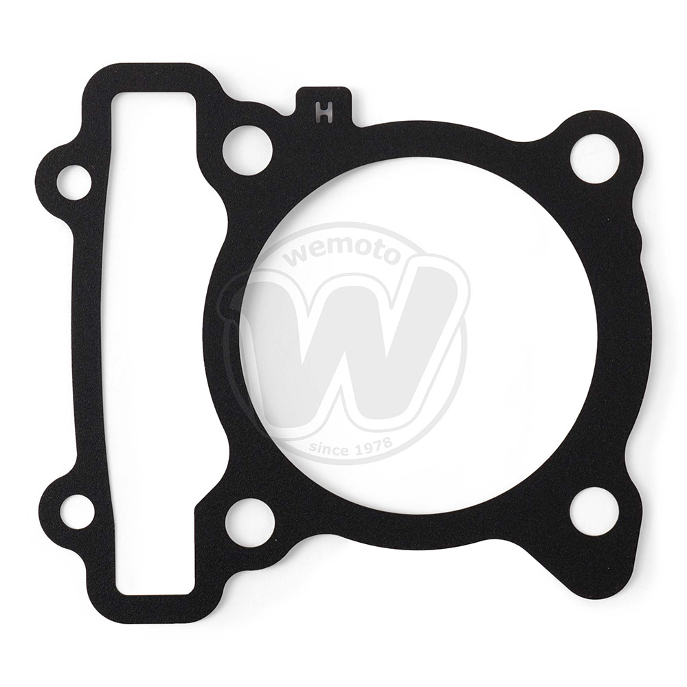 Cylinder Base Gasket