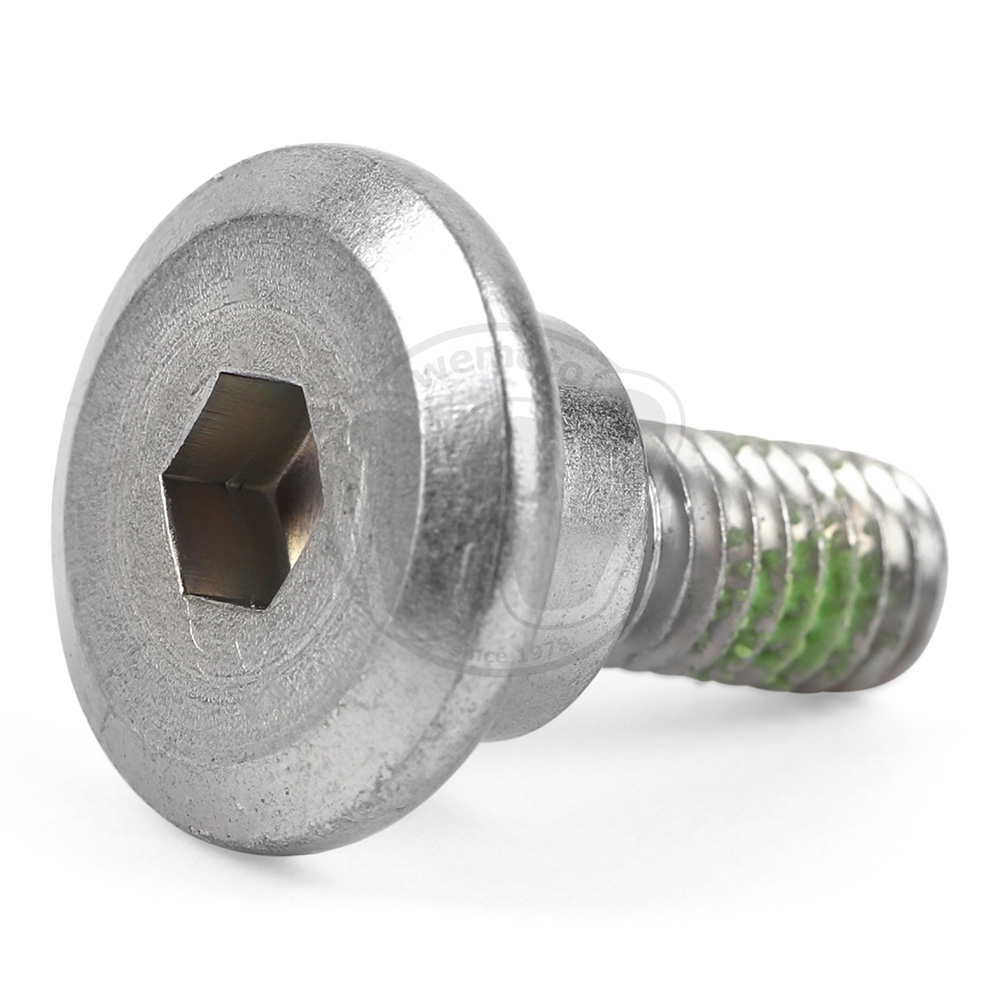 Bullone Fissaggio Disco Posteriore - OEM