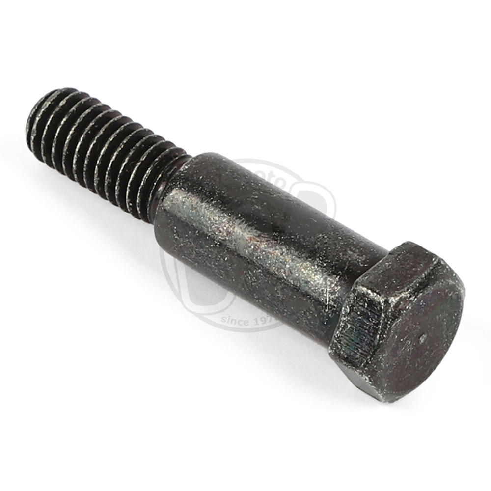 Perno Leva Freno Anteriore