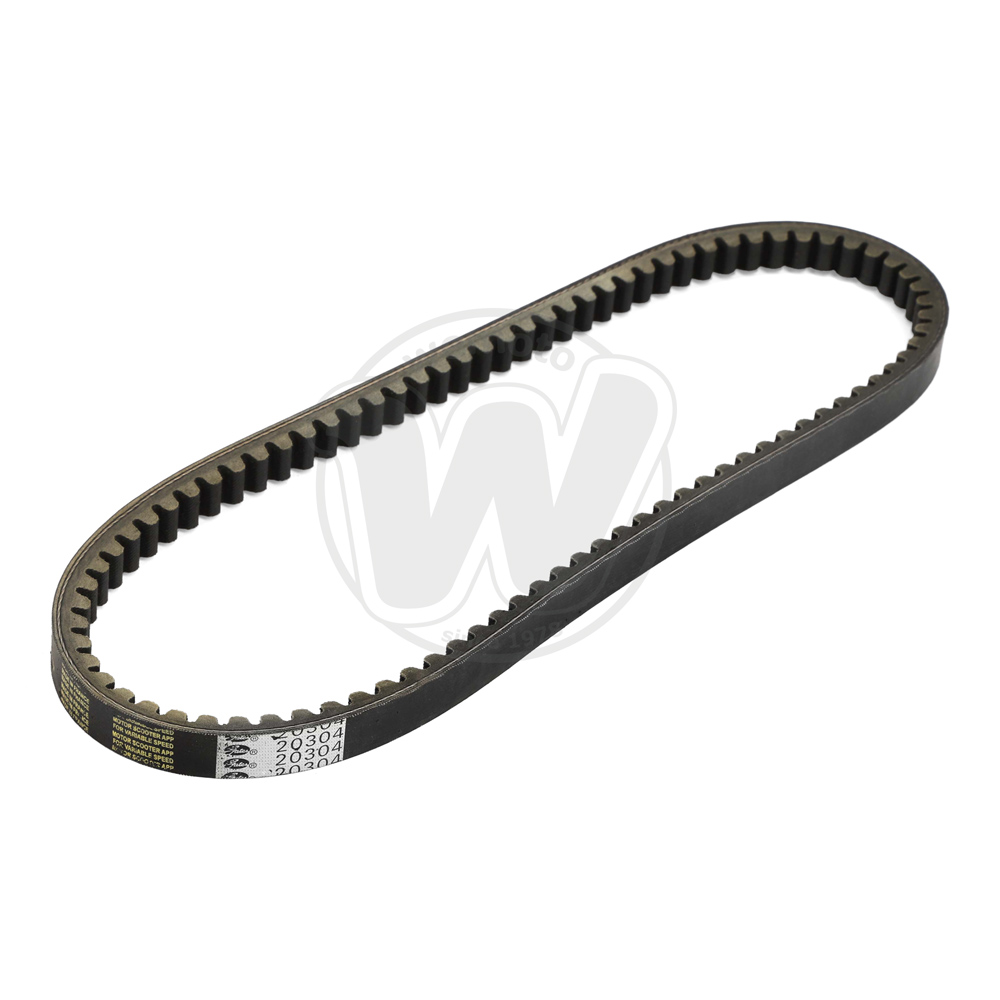 Cinghia di Trasmissione