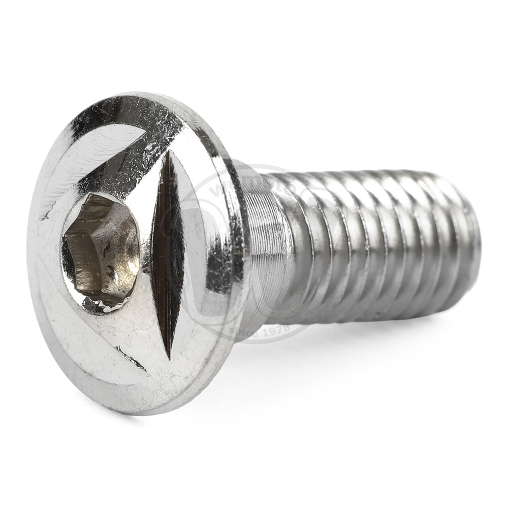 Mounting Bolt - Rear Disc - Individual