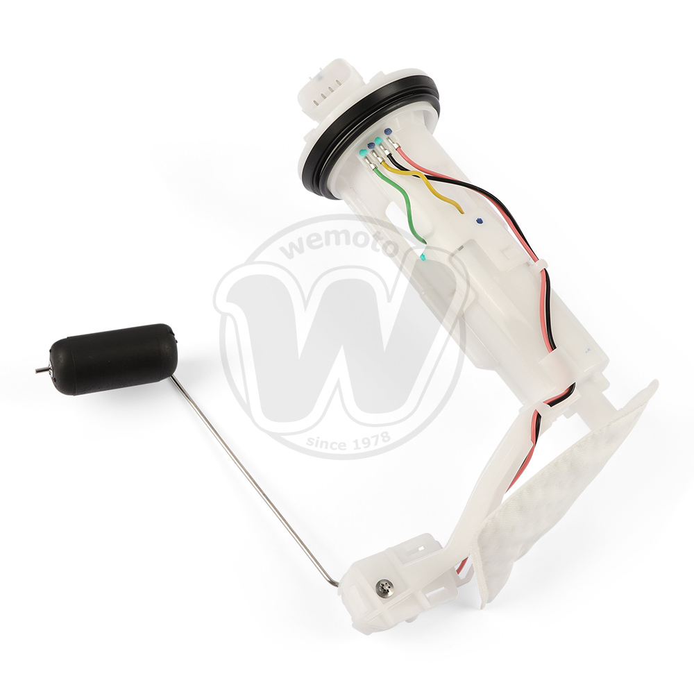 Fuel Pump Assembly