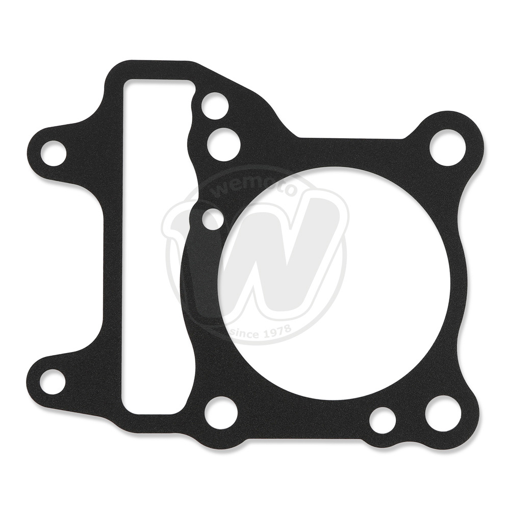 Cylinder Base Gasket