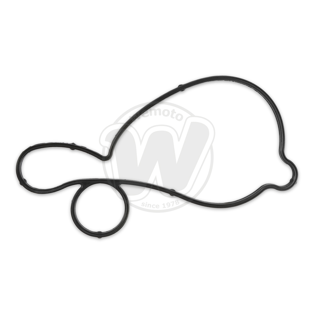 Junta tapa bomba de agua