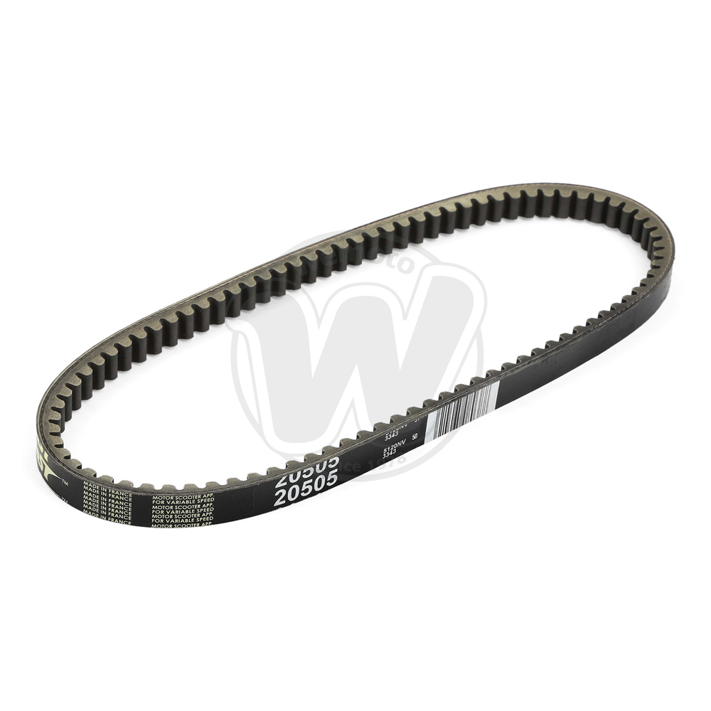 Cinghia di Trasmissione