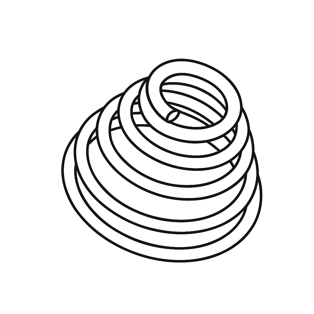 Clutch Slave Cylinder Spring