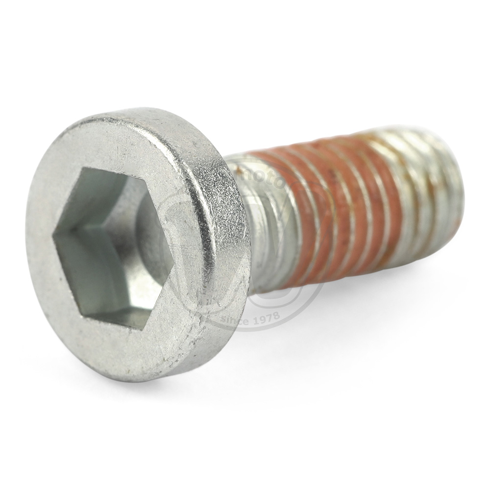 Boulon de Fixation - Disque de Frein Avant - Pièce d'Origine