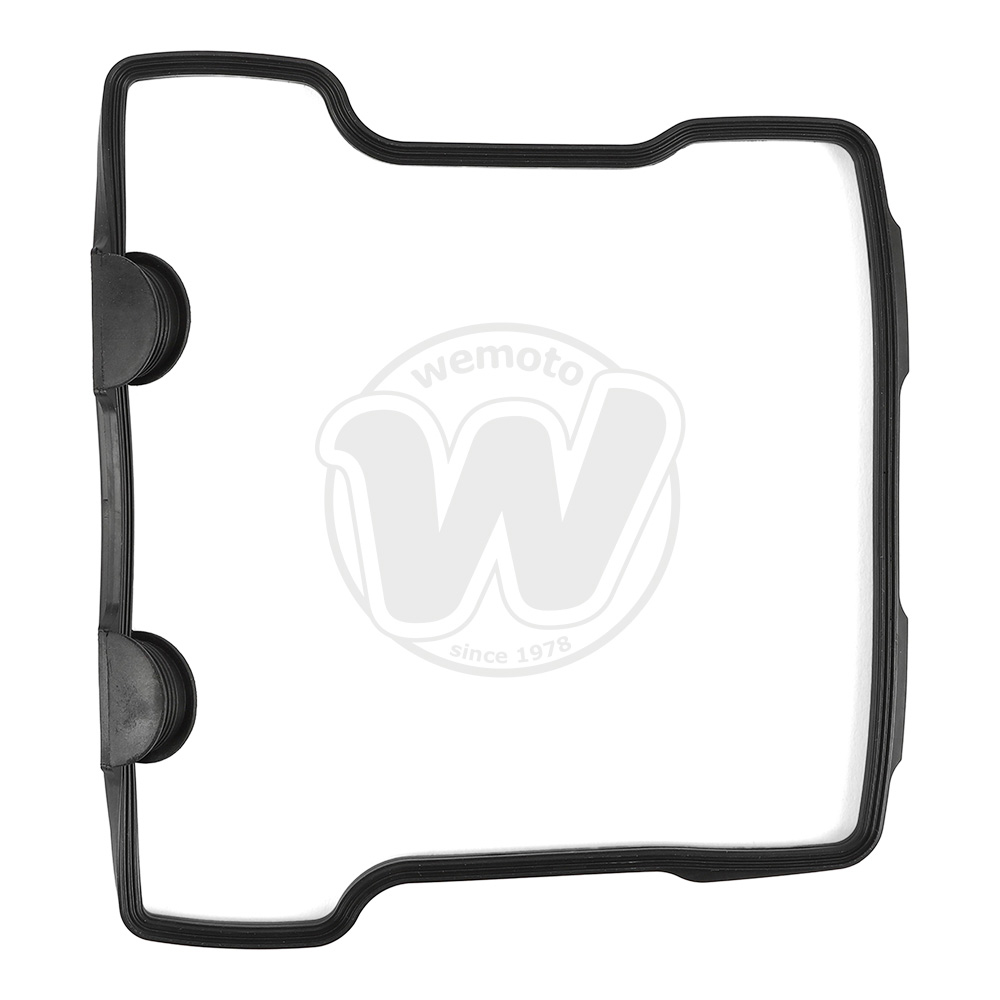 Guarnizione Tenuta Bilanciere