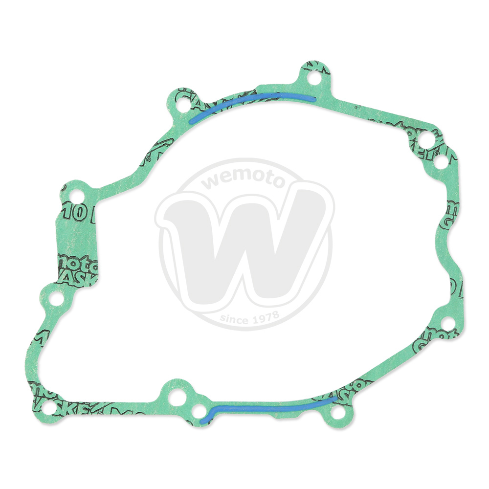 Guarnizione Alternatore