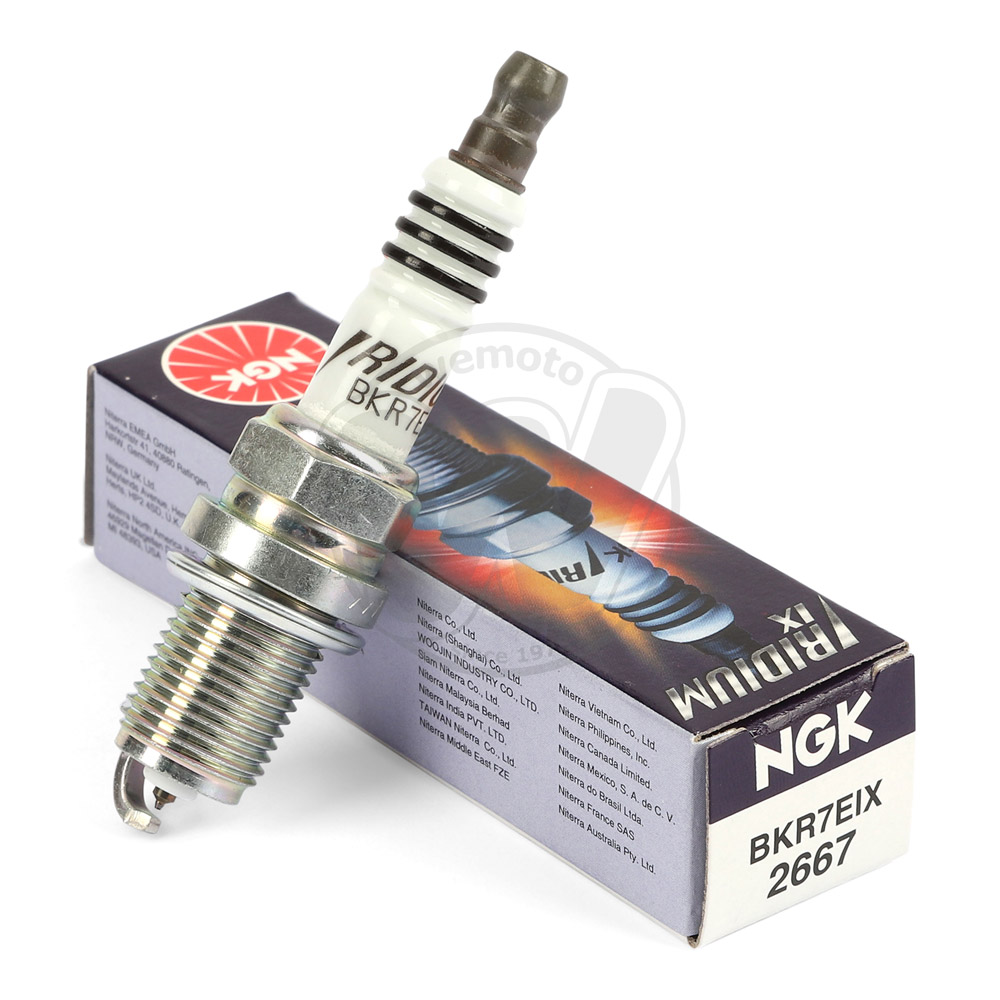 Candela NGK Iridium