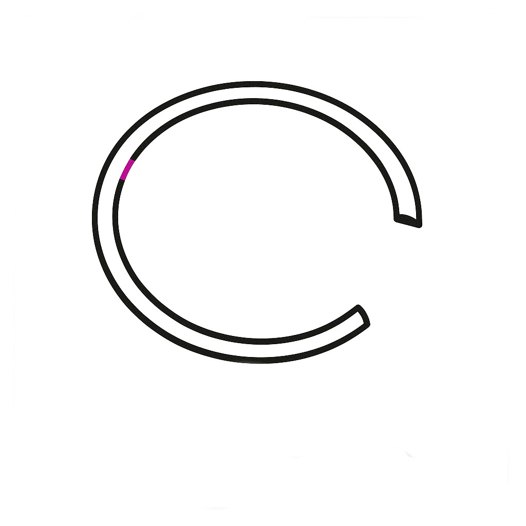 Piston Circlip