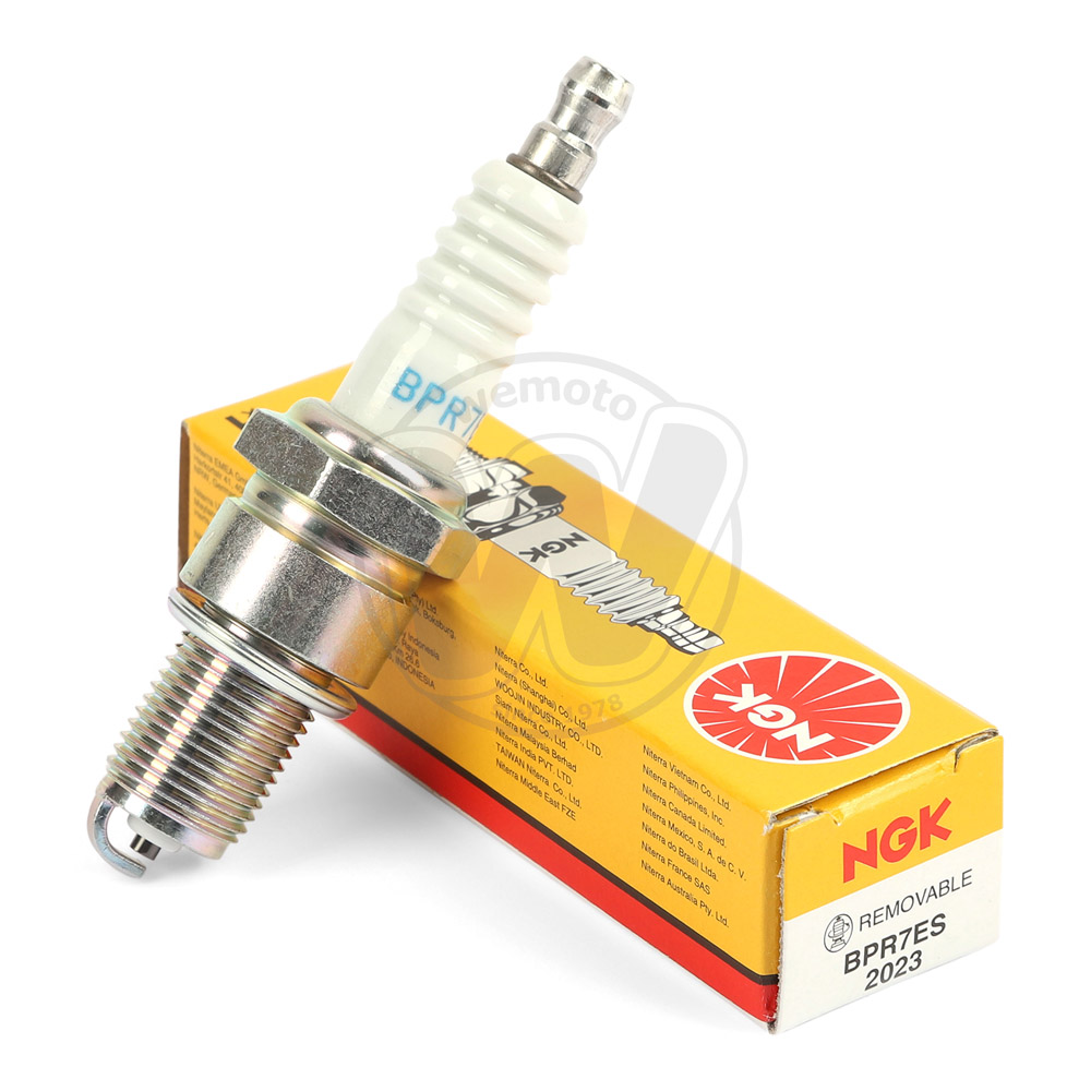 Candela NGK