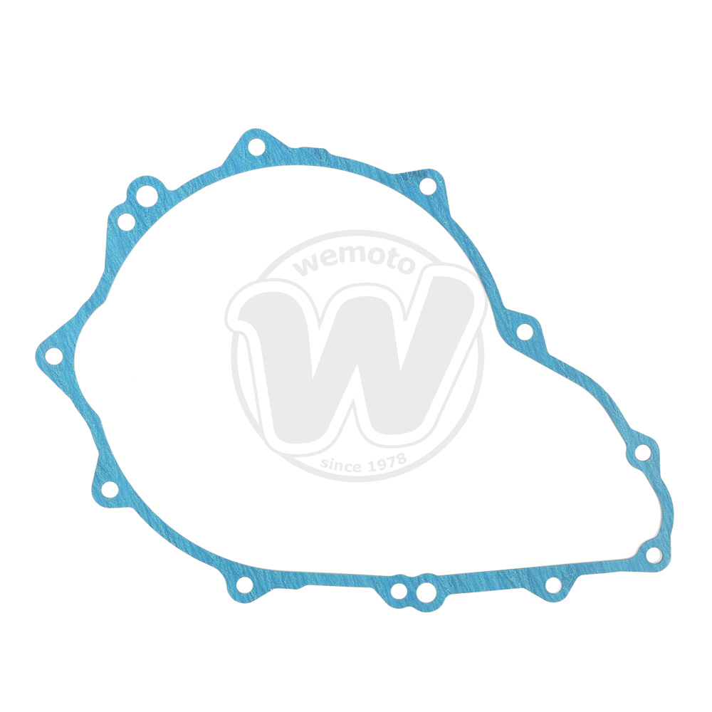 Guarnizione Alternatore