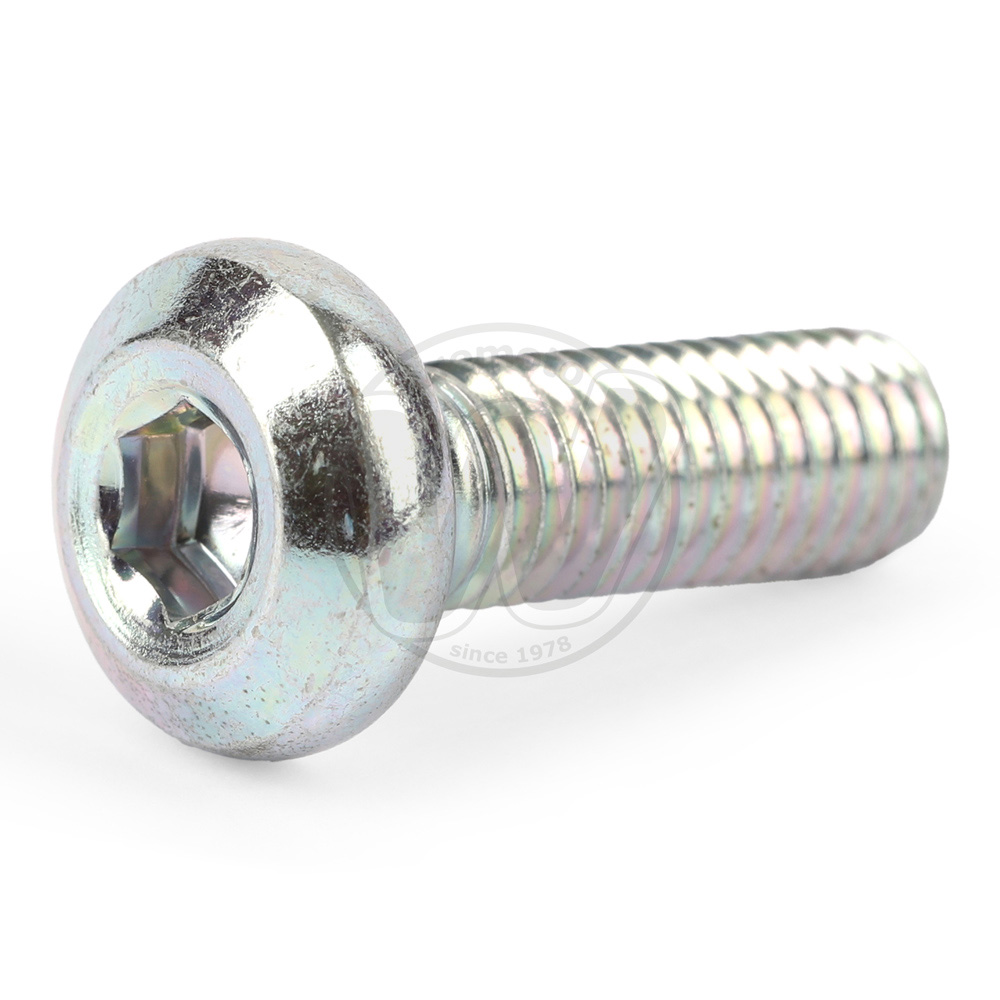 Mounting Bolt - Front Disc - OEM