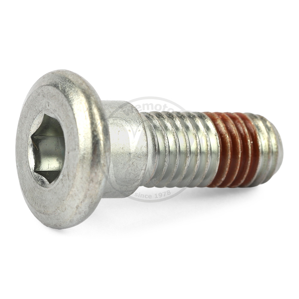 Tornillo de montaje para disco de freno delantero - original