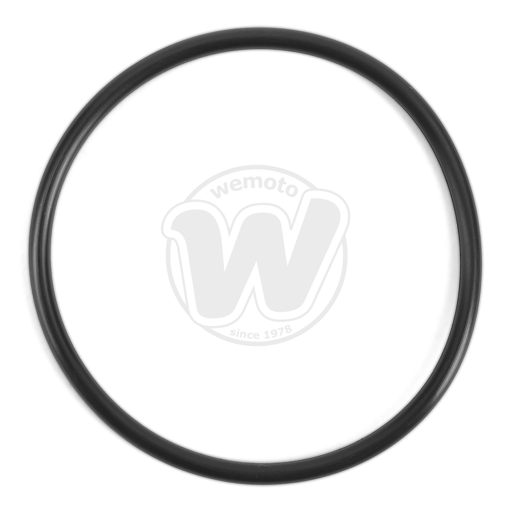 Guarnizione Pompa Benzina