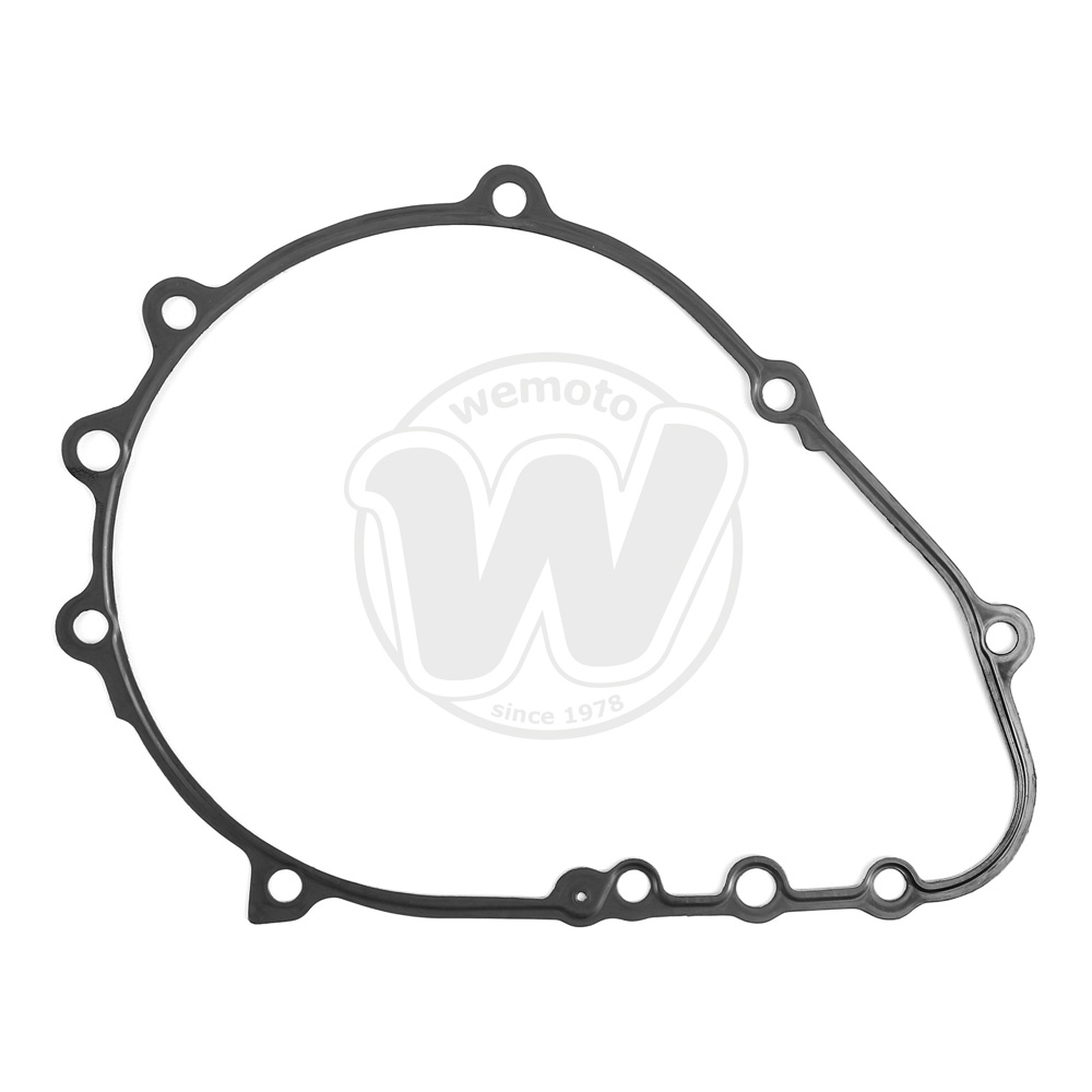 Guarnizione Alternatore