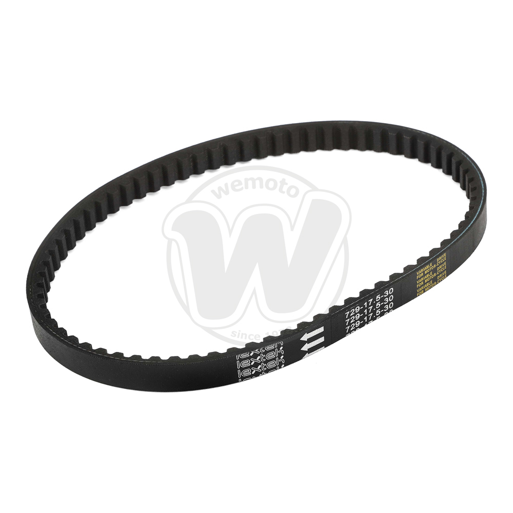 Cinghia di Trasmissione