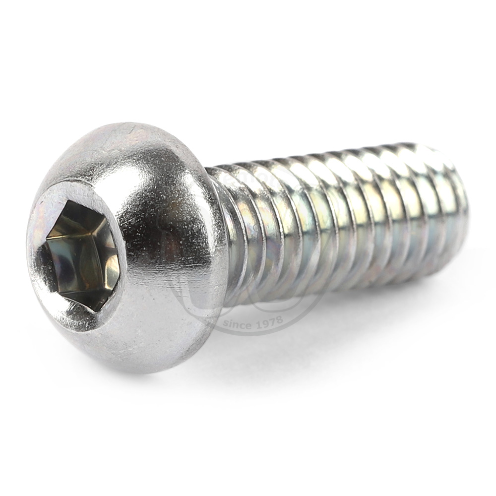 Mounting Bolt - Rear Disc - OEM