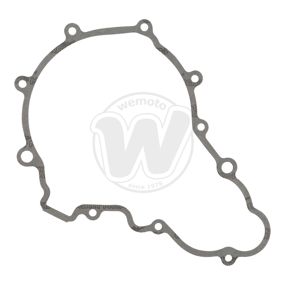 Guarnizione Alternatore