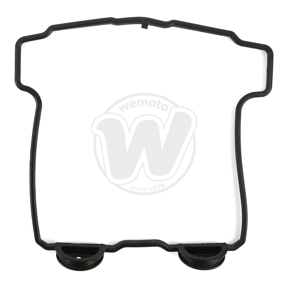 Guarnizione Tenuta Bilanciere