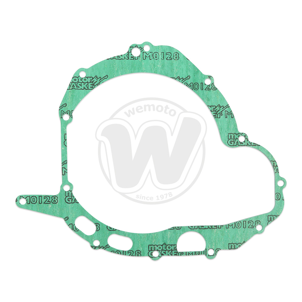 Guarnizione Alternatore