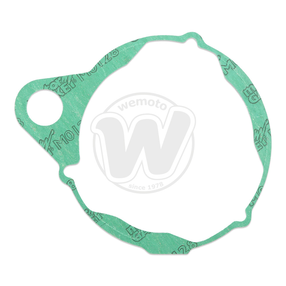 Guarnizione Alternatore