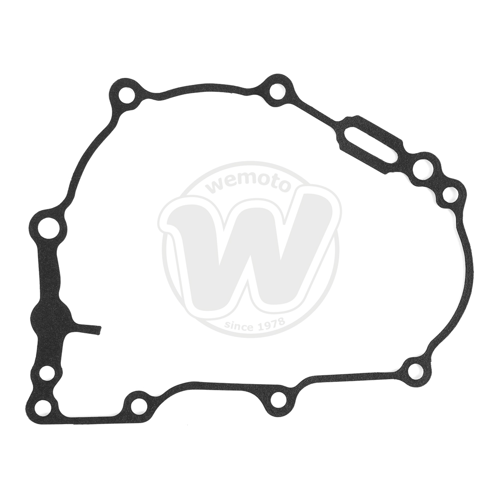 Guarnizione Alternatore