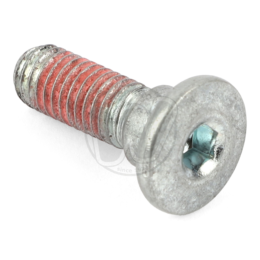 Mounting Bolt - Rear Disc - OEM