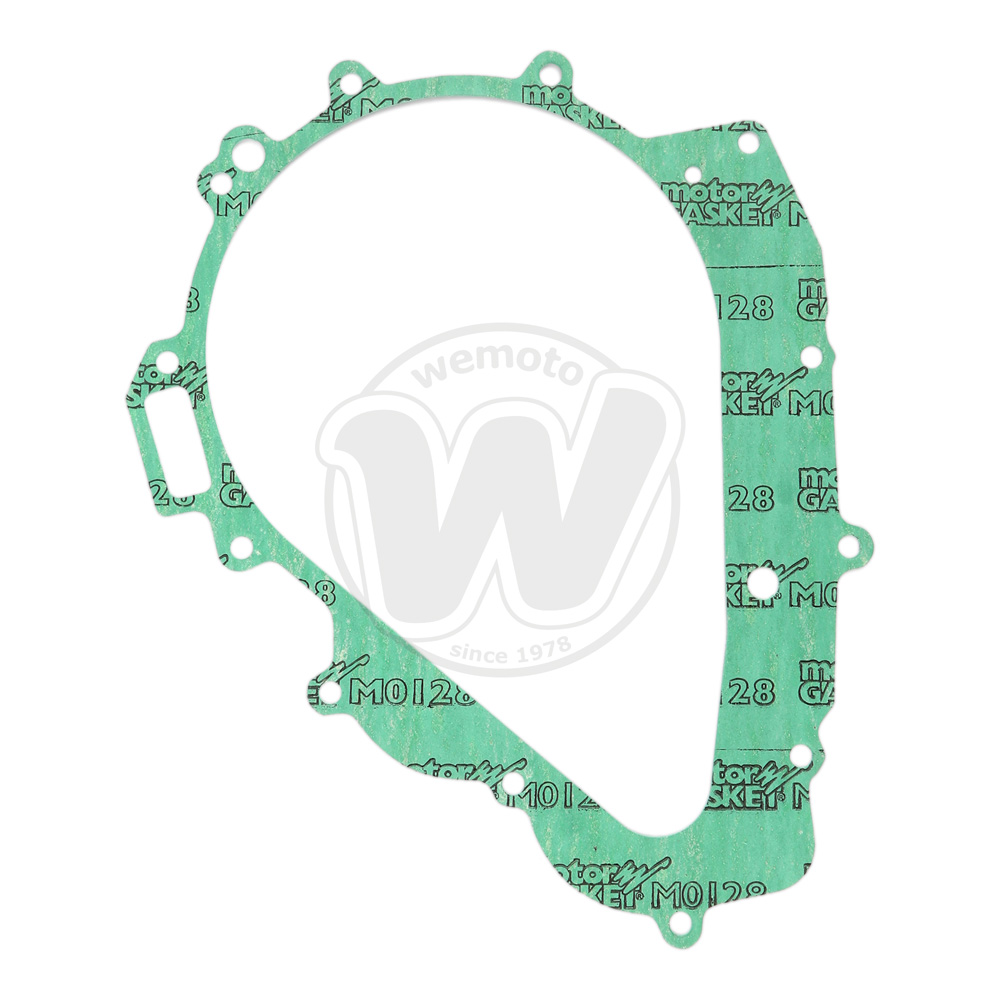 Guarnizione Alternatore