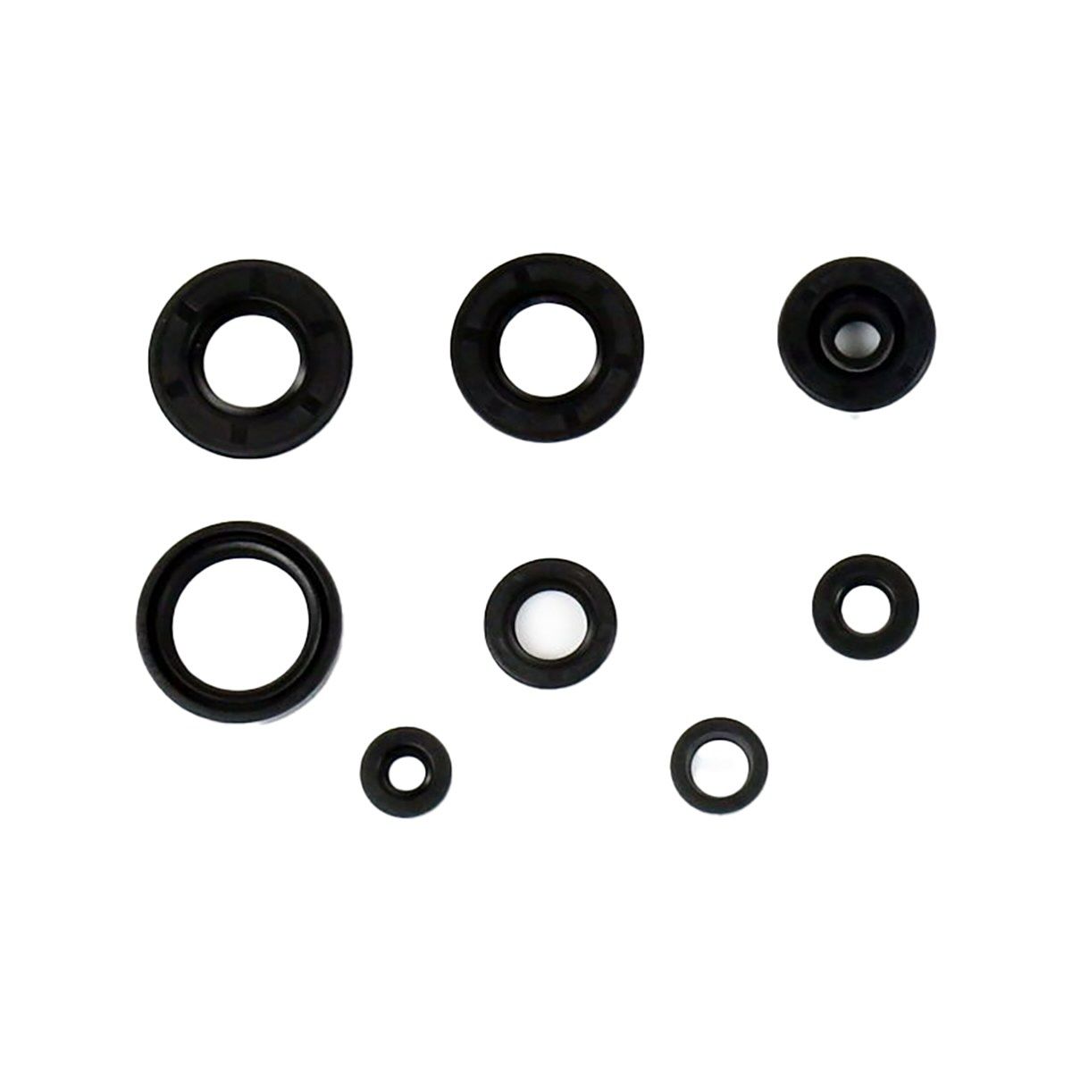 Engine Oil Seal Kit