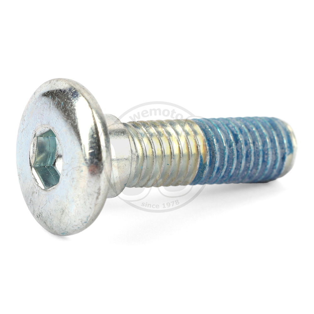 Boulon de Fixation - Disque de Frein Arrière - Individuel