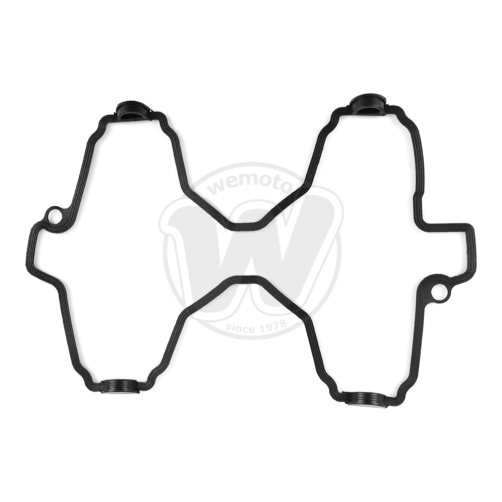 Guarnizione Tenuta Bilanciere