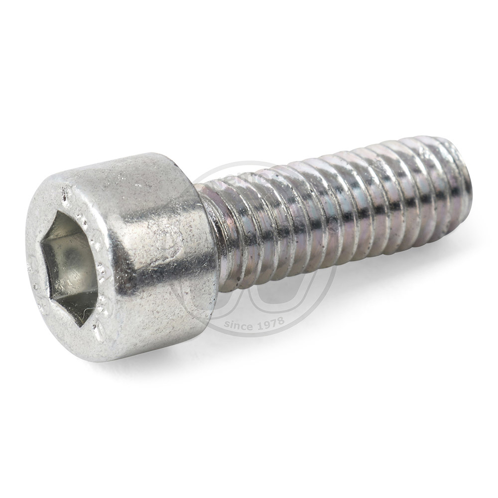 Handlebar End Weight Screw