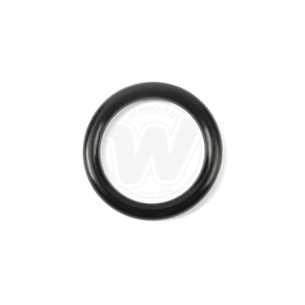 O-Ring Asta Controllo Livello Olio