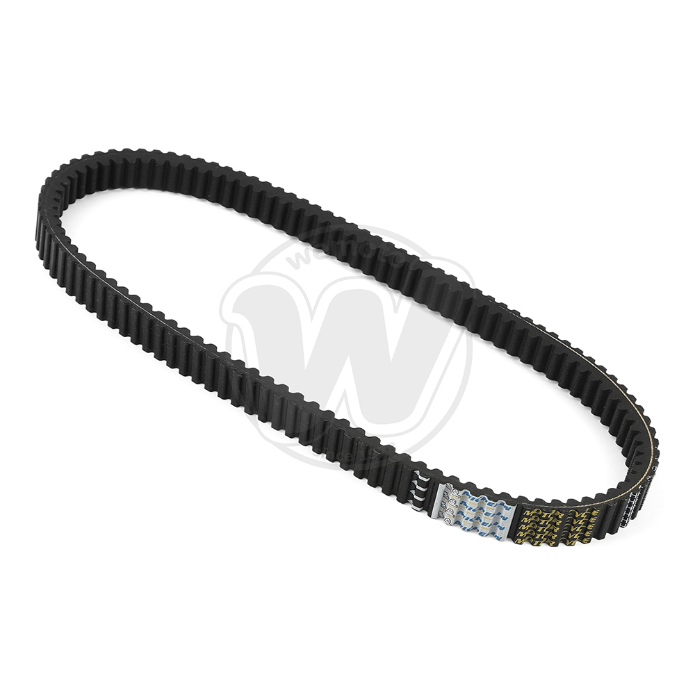 Courroie de Transmission