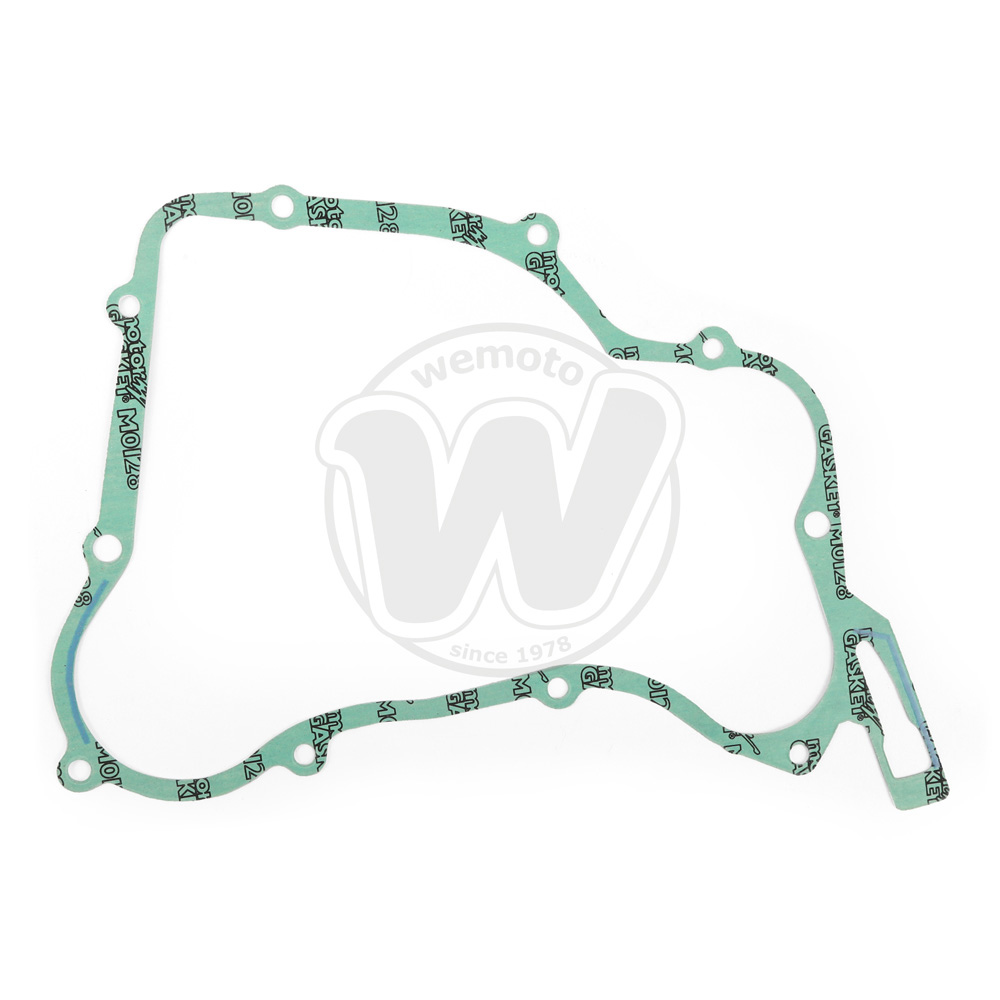 Guarnizione Frizione