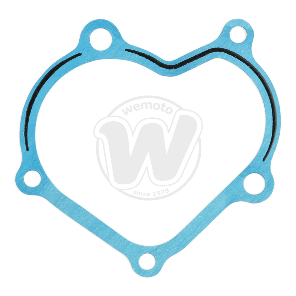 Guarnizione Frizione Avviamento