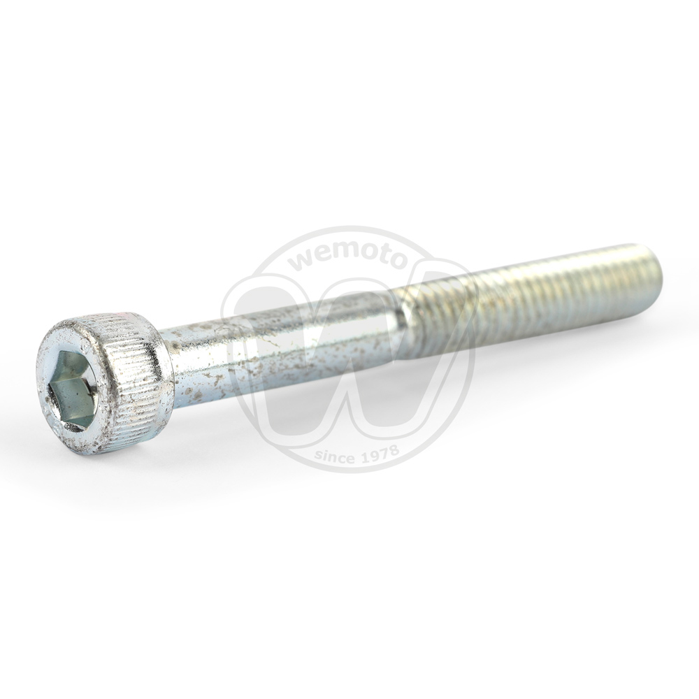 Handlebar End Weight Screw