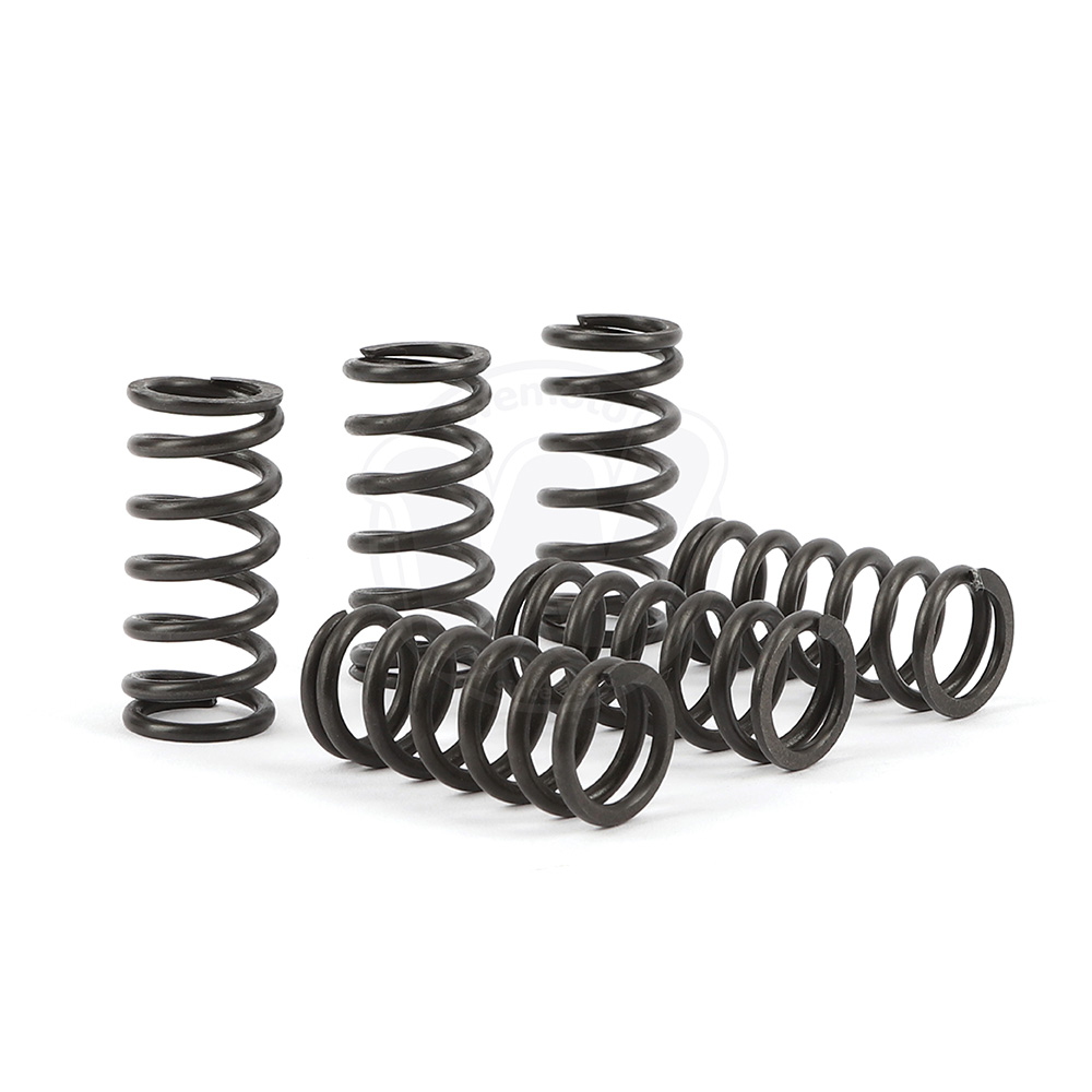 Clutch Spring Set - TRK Heavy Duty | Suzuki DR 350 1990 1097 | Wemoto UK