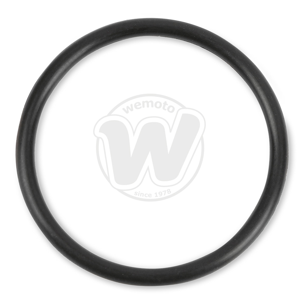O-Ring Asta Controllo Livello Olio