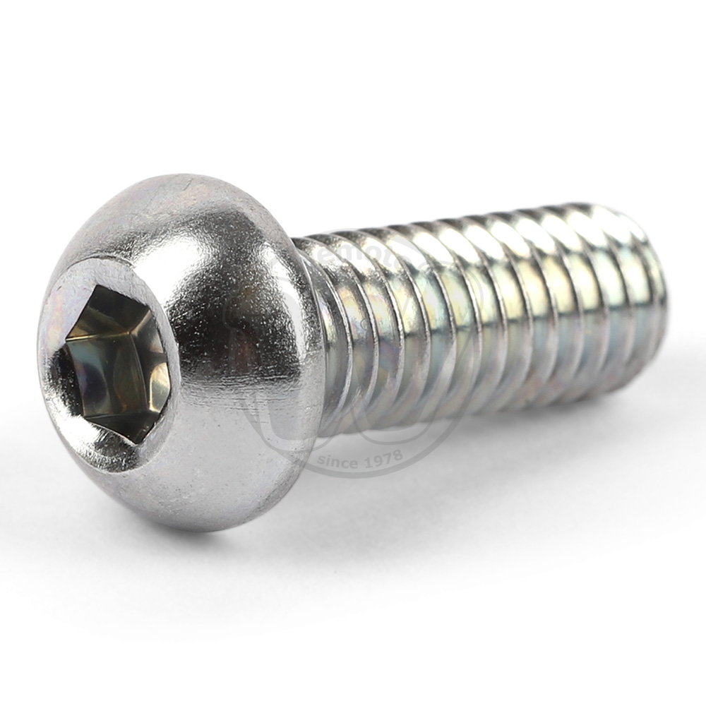 Mounting Bolt - Rear Disc - OEM