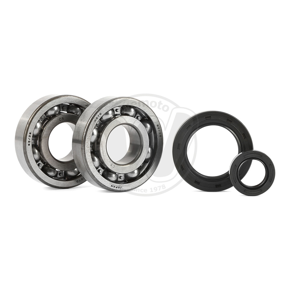 Cuscinetti e Paraolio per Albero Motore (Kit)