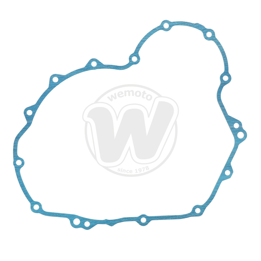 Guarnizione Frizione