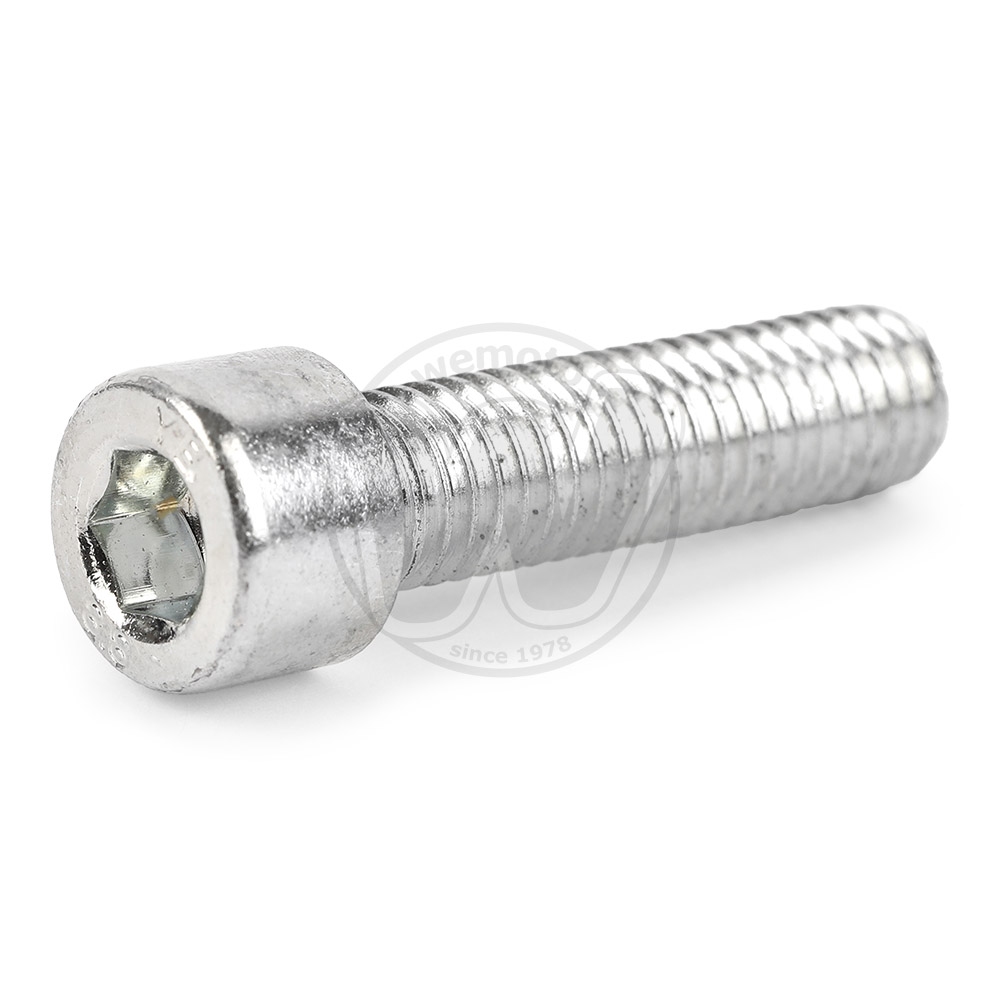 Vis d'Embout de Guidon