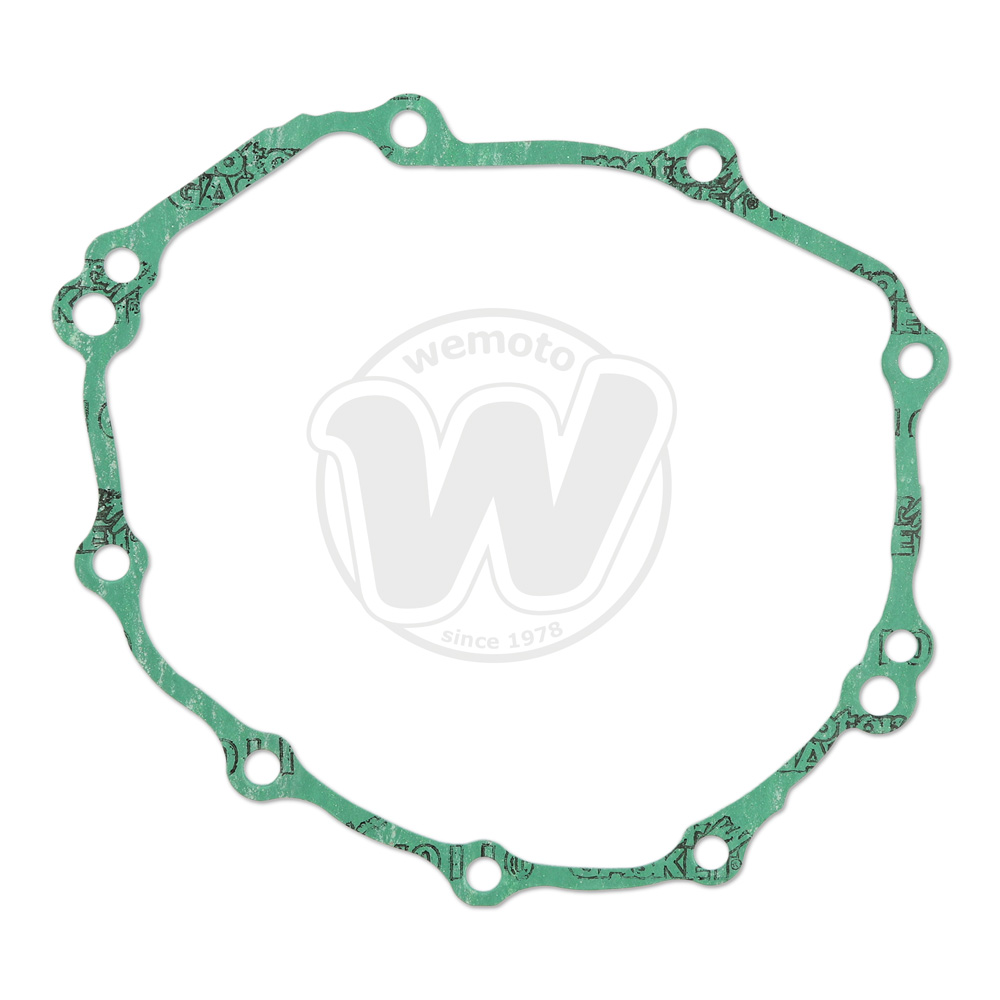 Guarnizione Alternatore