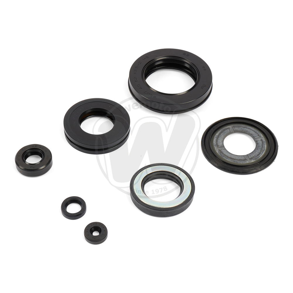 Engine Oil Seal Kit