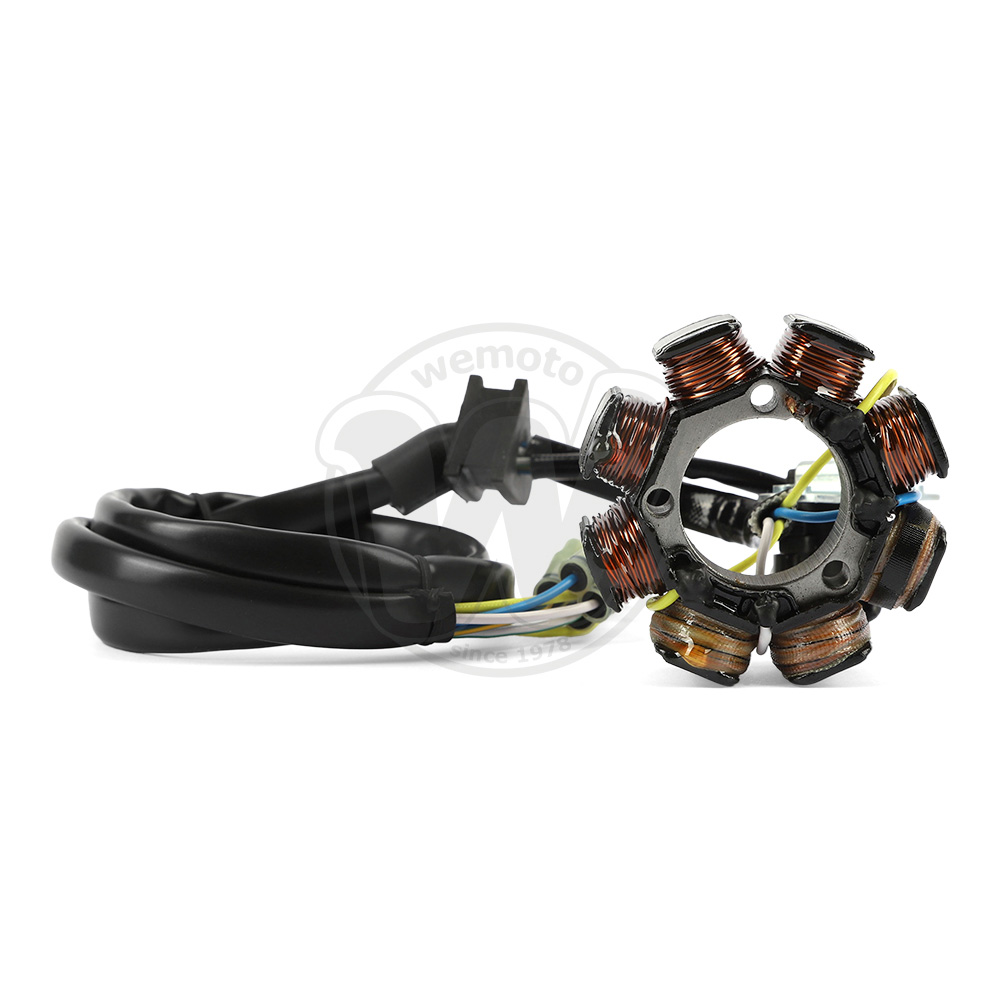 Generator - Stator - by Electrex