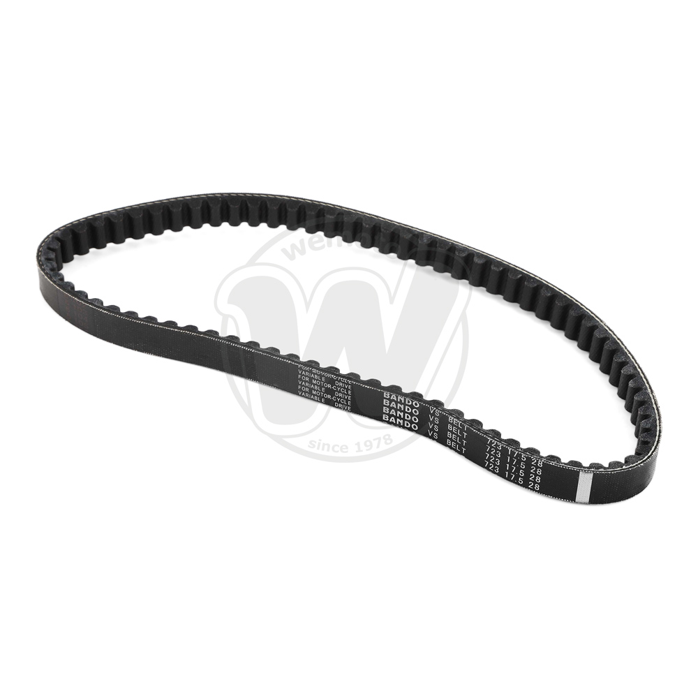 Cinghia di Trasmissione