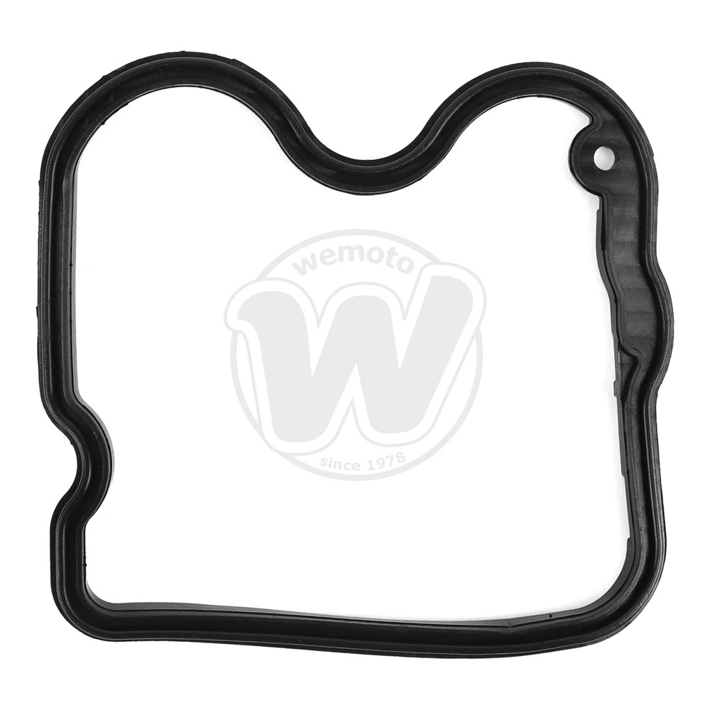 Guarnizione Tenuta Bilanciere